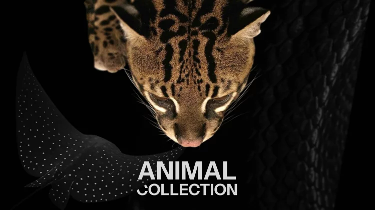Коллекция Animal: новое слово в декоративном искусстве Коллекция Animal: новое слово в декоративном искусстве
